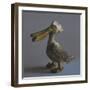 The Pelican, 2017,-Peter Jones-Framed Giclee Print