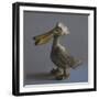 The Pelican, 2017,-Peter Jones-Framed Giclee Print