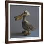 The Pelican, 2017,-Peter Jones-Framed Giclee Print