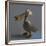 The Pelican, 2017,-Peter Jones-Framed Giclee Print