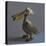 The Pelican, 2017,-Peter Jones-Stretched Canvas