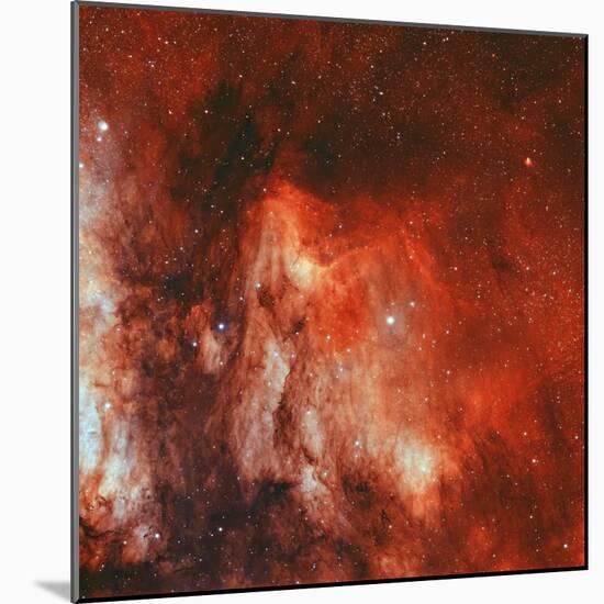 The Pelican Nebula-Stocktrek Images-Mounted Photographic Print