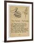The Pelican. The Panicle.-Robert Williams Wood-Framed Art Print