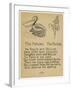 The Pelican. The Panicle.-Robert Williams Wood-Framed Art Print