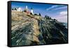 The Pemaquid Point Lighthouse with Rocky Shoreline-George Oze-Framed Stretched Canvas