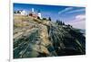 The Pemaquid Point Lighthouse with Rocky Shoreline-George Oze-Framed Photographic Print