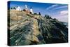 The Pemaquid Point Lighthouse with Rocky Shoreline-George Oze-Stretched Canvas