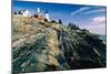 The Pemaquid Point Lighthouse with Rocky Shoreline-George Oze-Mounted Photographic Print