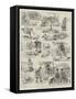 The Penalty of Perfection, Experiences of a Model Pig-S.t. Dadd-Framed Stretched Canvas