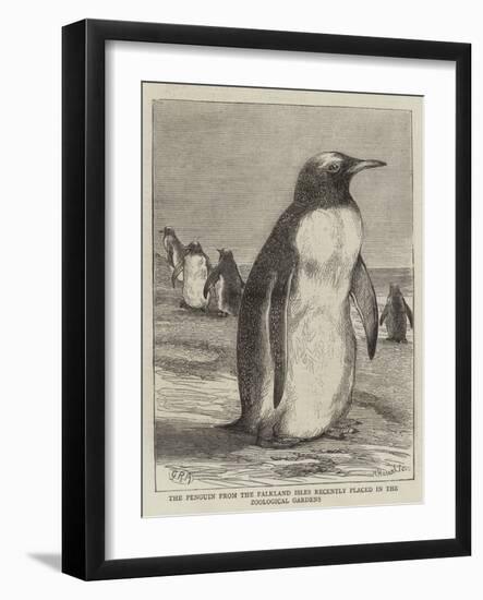 The Penguin from the Falkland Isles Recently Placed in the Zoological Gardens-null-Framed Giclee Print