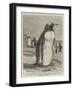 The Penguin from the Falkland Isles Recently Placed in the Zoological Gardens-null-Framed Giclee Print