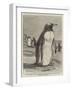 The Penguin from the Falkland Isles Recently Placed in the Zoological Gardens-null-Framed Giclee Print