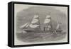 The Peninsular and Oriental Company's New Steam-Ship Mooltan-Edwin Weedon-Framed Stretched Canvas