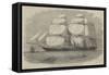 The Peninsular and Oriental Navigation Company's New Steam-Ship Pera-Edwin Weedon-Framed Stretched Canvas