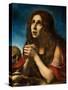 The Penitent Magdalen, C.1670-Carlo Dolci-Stretched Canvas