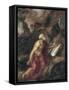 The Penitent Saint Jerome-Titian (Tiziano Vecelli)-Framed Stretched Canvas