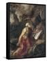 The Penitent Saint Jerome-Titian (Tiziano Vecelli)-Framed Stretched Canvas