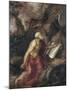 The Penitent Saint Jerome-Titian (Tiziano Vecelli)-Mounted Giclee Print