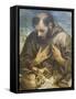 The Penitent St Francis, C.1585-Annibale Carracci-Framed Stretched Canvas