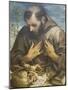 The Penitent St Francis, C.1585-Annibale Carracci-Mounted Giclee Print