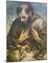 The Penitent St Francis, C.1585-Annibale Carracci-Mounted Giclee Print