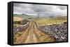 The Pennine Bridle Way Near Stainforth in Ribblesdale, Yorkshire Dales, Yorkshire, England-Mark Sunderland-Framed Stretched Canvas