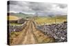 The Pennine Bridle Way Near Stainforth in Ribblesdale, Yorkshire Dales, Yorkshire, England-Mark Sunderland-Stretched Canvas