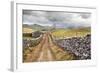 The Pennine Bridle Way Near Stainforth in Ribblesdale, Yorkshire Dales, Yorkshire, England-Mark Sunderland-Framed Photographic Print