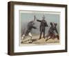 The People's Pecksniff, 1887-Tom Merry-Framed Giclee Print