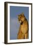 The Perfect View-Susann Parker-Framed Premium Photographic Print