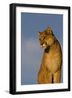 The Perfect View-Susann Parker-Framed Premium Photographic Print