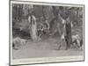 The Performance of A Midsummer Night's Dream by the Oxford University Dramatic Society-null-Mounted Giclee Print