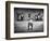 The Performer-Marc Apers-Framed Photographic Print