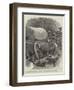 The Perils of Travel in South Africa-John Charlton-Framed Giclee Print