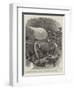 The Perils of Travel in South Africa-John Charlton-Framed Giclee Print