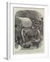 The Perils of Travel in South Africa-John Charlton-Framed Giclee Print