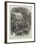 The Perils of Travel in South Africa-John Charlton-Framed Giclee Print