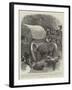 The Perils of Travel in South Africa-John Charlton-Framed Giclee Print