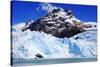 The Perito Moreno Glacier-meunierd-Stretched Canvas