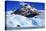 The Perito Moreno Glacier-meunierd-Stretched Canvas