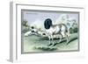 The Persian Sheep-John Stewart-Framed Art Print