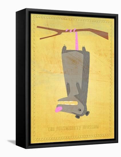 The Persnickety Opossum-John W Golden-Framed Stretched Canvas