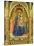 The Perugia Altarpiece, Central Panel Depicting the Madonna and Child-Fra Angelico-Stretched Canvas