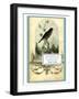 The Pet Bird, c. late 1800's-W^E^ Tucker-Framed Art Print