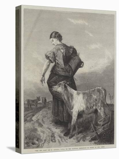 The Pet Calf-Richard Ansdell-Stretched Canvas