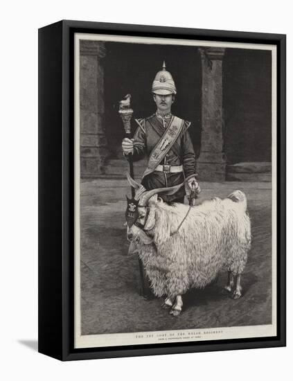 The Pet Goat of the Welsh Regiment-null-Framed Stretched Canvas