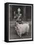 The Pet Goat of the Welsh Regiment-null-Framed Stretched Canvas