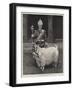 The Pet Goat of the Welsh Regiment-null-Framed Giclee Print