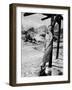 The Petrified Forest, 1936-null-Framed Photographic Print