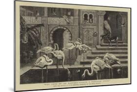 The Pets of an Eastern Palace, a Tunisian Study-Harry Hamilton Johnston-Mounted Giclee Print